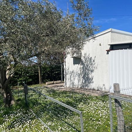 Apartma Korelc Koper Eksteriør billede